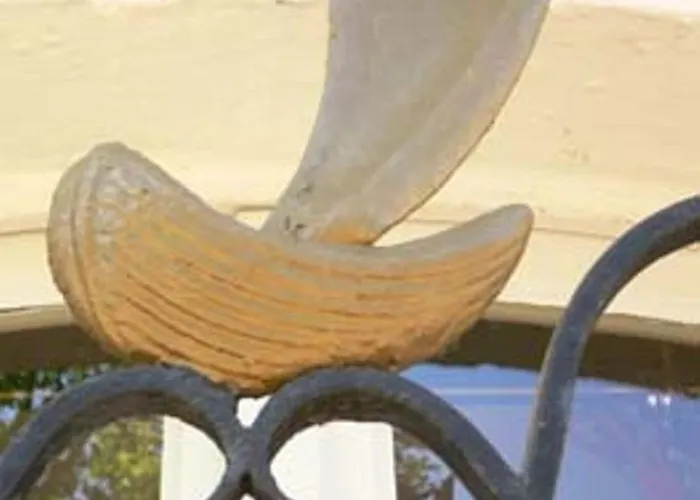 Schnellenburg Dusseldorf